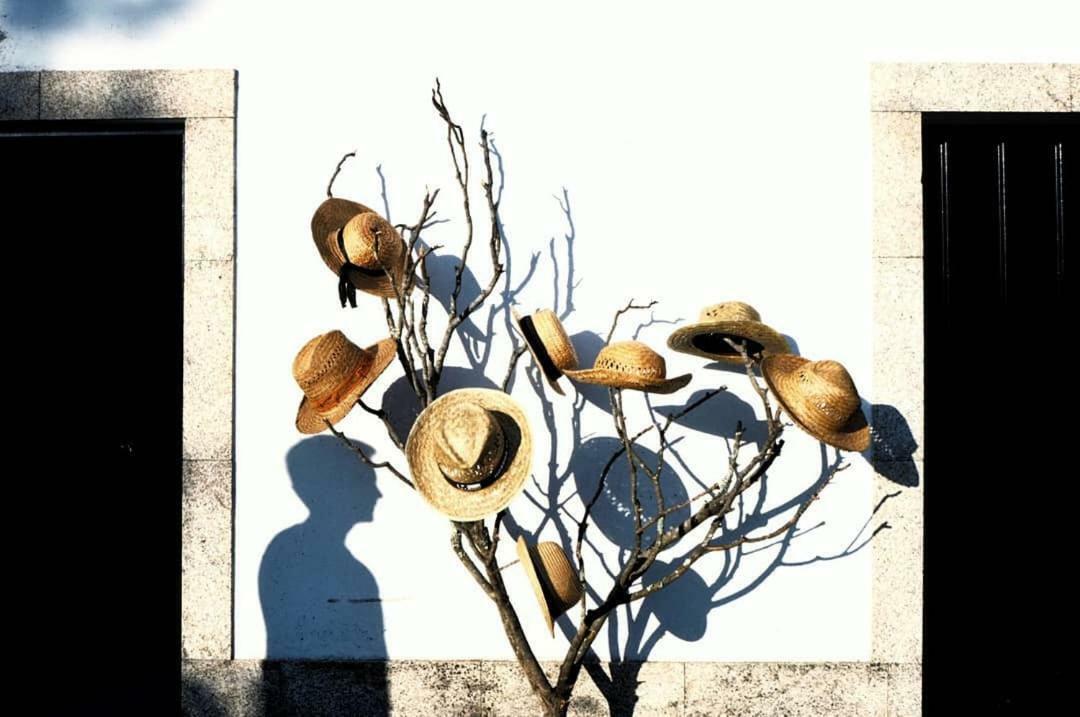 Country house Casa Dos Gomes *